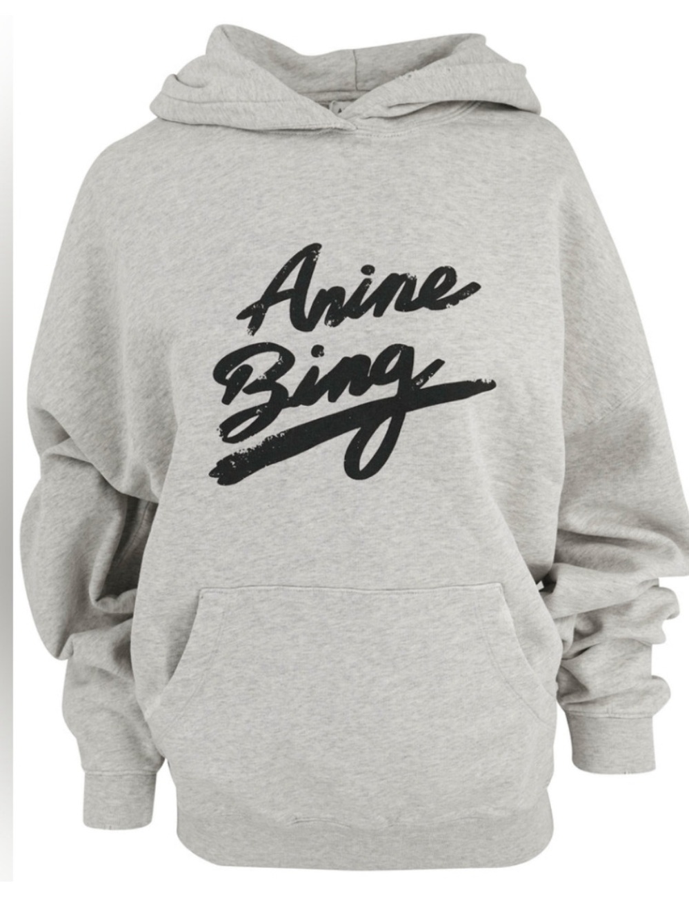 EUC Anine Bing Harvey Hoodie with Script Logo - Picture 2 of 4